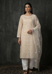 Formals - Riwaj - Fancy 26 -  Thread Work - 2 Pcs - D#03 - Skin