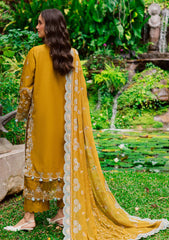 Winter - Marjjan - Bella 25 - Embroidered Karandi - MWK#38 A - MUSTARD