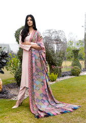 Pure Pashmina Handmade Shawl D - 2216 - Multi