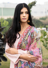 Pure Pashmina Handmade Shawl D - 2216 - Multi