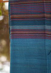 Pure Pashmina Lining Work Shawl D - 02B - Ferozi