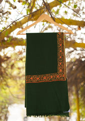 Pure Pashmina Kashmiri Work Shawl D - 26 - B Green