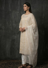 Formals - Riwaj - Fancy 26 -  Thread Work - 2 Pcs - D#03 - Skin