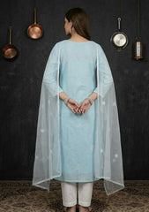 Formals - Riwaj - Fancy 26 -  Ari & Mukesh Work - 2 Pcs - D#01 - Ferozi