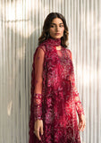 Formal Collection - Saira Rizwan - Lumiere - Festive - SR#06 - Remy