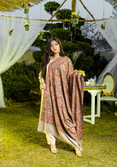 Pure Pashmina Handmade Shawl D - 2211 - Brown