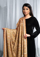 Pure Pashmina Handmade Shawl D - 2209 - Off White
