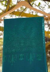 Pashmina Ari Work Shawl D - 112 - Zink