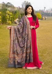 Pure Pashmina Handmade Shawl D - 2207 - Grey