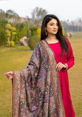 Pure Pashmina Handmade Shawl D - 2207 - Grey