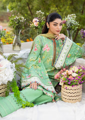 Lawn - Elaf Premium - Prints 25 - ECD#6B - PASTELLE