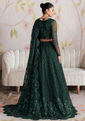 Formal Collection - Zarif - Shehnai - Wedding - ZR25#08 - Meesam