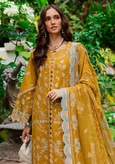 Winter - Marjjan - Bella 25 - Embroidered Karandi - MWK#38 A - MUSTARD