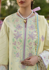 Lawn - Mahnur - Morbagh Luxury 26 - M#12