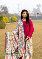 Pure Pashmina Handmade Shawl D - 2203 - Ivory