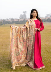 Pure Pashmina Handmade Shawl D - 2202 - Skin