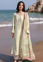 Lawn - Seran - Afsanah Unstitched 25 - D-13 - Fariha