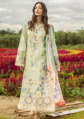 Lawn - Mushq - Hemline - Secret Garden - Starlit Lilies