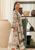 Winter Collection - Al Zohaib - Sunshine Bloom - Cotton Silk -ALCS24#12