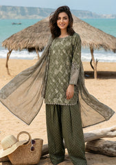 Lawn - Rubaaiyat - Elanora 26 - RE#16