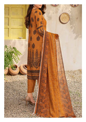 Winter Collection - Laiba - D/P Viscose - V26 - LV#01