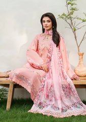 Winter - Asifa & Nabeel - Eden Cambric 25 - ECU#01 - Serene Blush