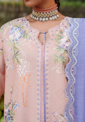 Lawn - Bin Ilyas - Suroor - Summer 26 - BS#241 - A