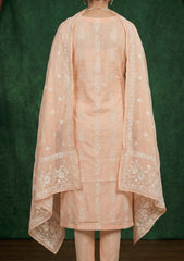 Formals - Riwaj - Fancy Net - 2 Pcs Suit - CND#03 - L Peach