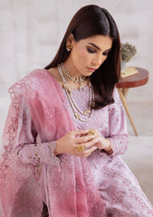 Winter Collection - Nureh - Exclusive - Karandi - NE#39