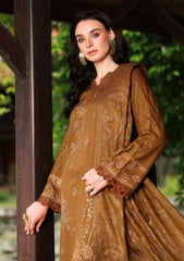 Winter - Riaz Arts - Tehzeeb 25 - Leather Peach - TL#449