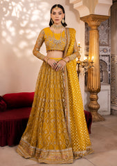 Formal Collection - Neeshay - Parinaaz - Wedding - Zareen