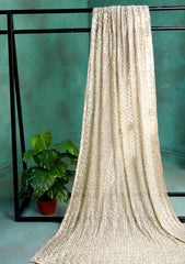 Bahawalpuri Pehnawa - Exclusive Edition - BPD#04