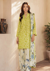 Lawn - Al Zohaib - Coco - Cords Digital Printed - AZC#02