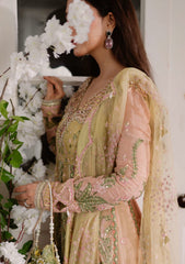 Formals - Mushq - Shaam Shandar - Chiffon 25 - SUR SUNEHRI