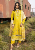 Winter Collection - Humdum - Rahgeer - HR24#8