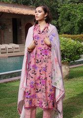 Winter - Al Zohaib - Colors Linen - Edit 25 - CL#03