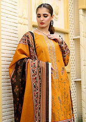 Winter Collection - Bin Rashid - Aina - BA24#02