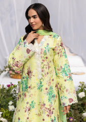 Lawn - Rajbari - Summer Printkari 26 - D#01