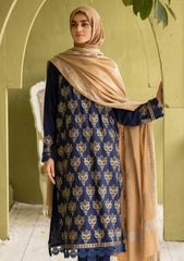 Winter Collection - Riaz Arts - DastKari - D#05