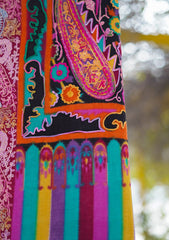 Pure Pashmina Qalamkari Shawl D - 02 - Multi