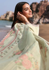 Lawn - Seran - Afsanah Unstitched 25 - D-13 - Fariha