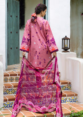 Winter - Mushq - Hemline Mirasol - Intermix 25 - HML#08B - Coral Mar