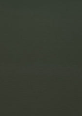 Elite Men Canybo Antistatic Finish Plain Wash & Wear Fabric - M Green