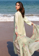 Lawn - Seran - Afsanah Unstitched 25 - D-13 - Fariha