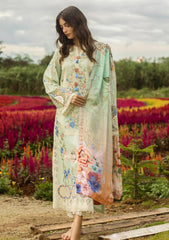 Lawn - Mushq - Hemline - Secret Garden - Starlit Lilies