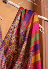 Pashmina Qalamkar Needle Work Shawl D#02 - Multi