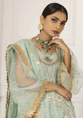 Formal Collection - Fine Art - Subh E Baharan - Festive - D#9