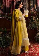 Winter Collection - Mahnur - Veronica - Luxury Karandi - MVL24#06 - Clara