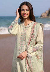 Lawn - Seran - Afsanah Unstitched 25 - D-13 - Fariha