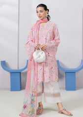 Lawn - Qalamkar - Q Prints 25 - Vol II - QLM#04-A